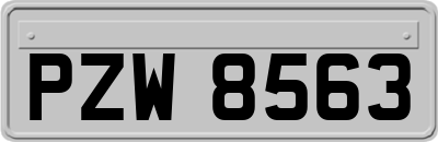 PZW8563