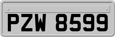 PZW8599