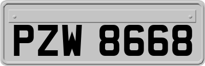 PZW8668