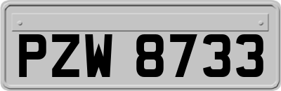 PZW8733