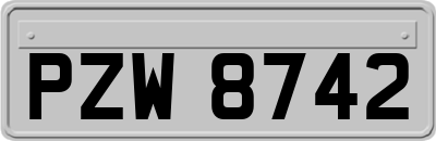 PZW8742