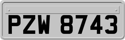 PZW8743