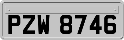 PZW8746