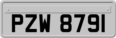 PZW8791