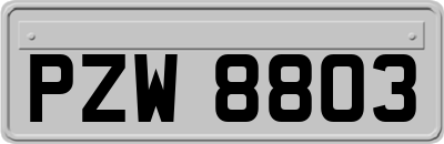 PZW8803