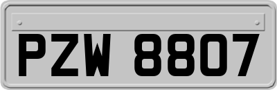 PZW8807