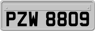 PZW8809