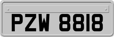 PZW8818