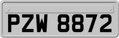 PZW8872