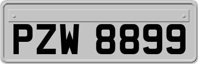 PZW8899