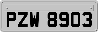 PZW8903