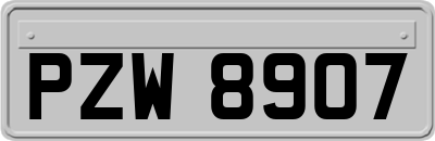 PZW8907