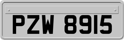 PZW8915