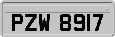 PZW8917