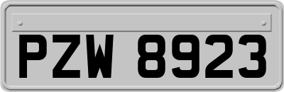 PZW8923