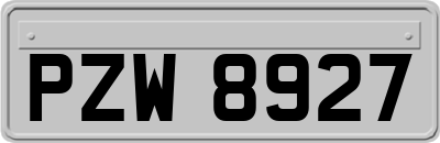 PZW8927