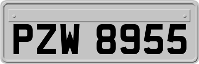 PZW8955