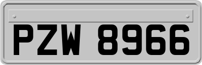 PZW8966