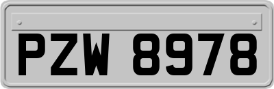 PZW8978