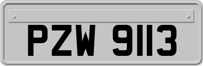 PZW9113