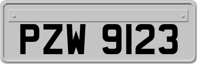 PZW9123