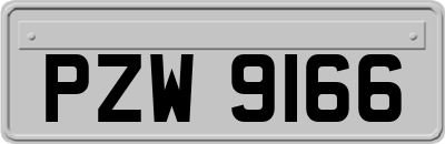 PZW9166