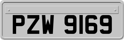 PZW9169