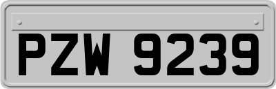 PZW9239