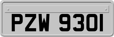 PZW9301