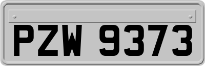 PZW9373