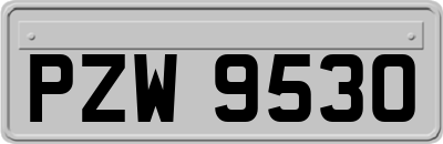 PZW9530