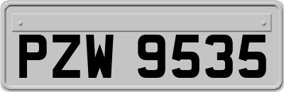 PZW9535