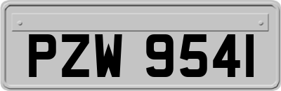 PZW9541