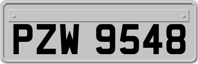 PZW9548