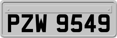 PZW9549