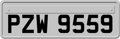 PZW9559