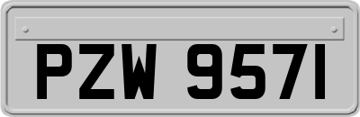 PZW9571