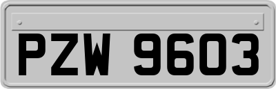 PZW9603