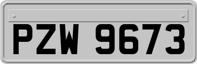 PZW9673