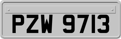 PZW9713