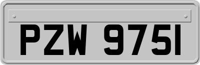 PZW9751