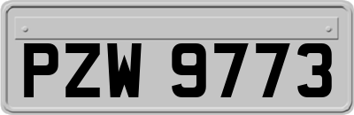 PZW9773