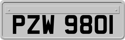 PZW9801