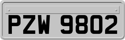 PZW9802