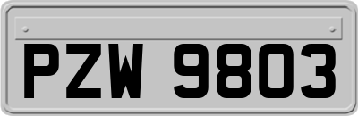 PZW9803