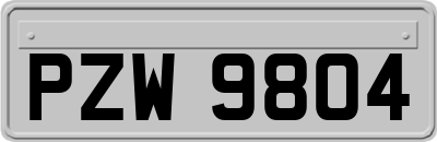 PZW9804