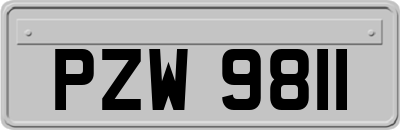 PZW9811