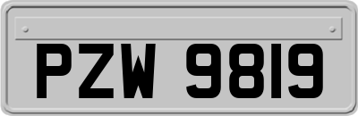 PZW9819