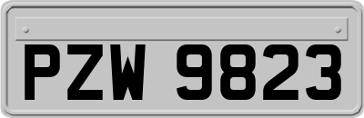 PZW9823