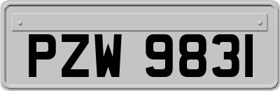 PZW9831